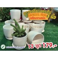 ราคา กระถางดินเผา ทรงไข่ 3 นิ้ว สไตล์ มินิมอล พร้อมจานรอง 12 ชุด 179 (6981278929)
