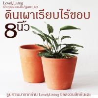 ราคา กระถางดินเผา 9 นิ้ว ดินเผา 8 นิ้ว ทรงเรียบ ไร้ขอบ classic กระถางดินเผาทรงเรียบ ดินเผาทรงเตี้ย ดินเผาทรงสูง (9666238497)