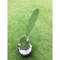 ราคา ต้นกระบองเพชรรับประทานผล สายพันธุ์ Opuntia ficus-indica #โอพันเทีย #Opuntia cactus #ใบเสมา #แคคตัส #พันธุ์ไม้หนาม (7544333460)