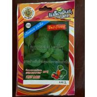 ราคา เมล็ดยี่หร่า 10 แถม 1 ยี่หร่า ใบรา กลิ่นหอม tree basil เมล็ดพันธุ์ผัก (16969398305)