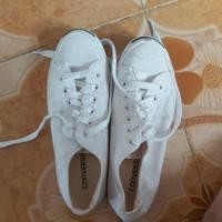 ราคา Converse jack purcell (2760044656)