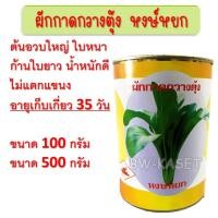 ราคา เมล็ดพันธุ์ผักกาดกวางตุ้ง ผักกาดกวางตุ้ง ขนาด100 และ 500กรัม เมล็ดกวางตุ้ง เมล็ดพันธุ์กวางตุ้ง เมล็ดกวางตุ้งต้น (17986664740)