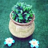 ราคา กระถางปลูกต้นไม้เล็ก​กระถางดินเผาสีสดใสลายไทยสาน(ขนาด16x15)​cm (2483316615)