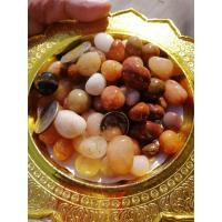 ราคา ปฐวีธาตุแม่น้ำโขงรวมสี ธาตุกายสิทธิ์ สมบัติพญานาคน้ำหนัก1กิโลกรัม (5511510221)