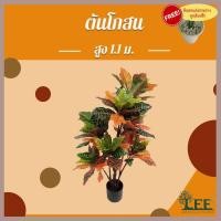 ราคา (( ต้นไม้มงคล มาใหม่!! )) ต้นโกสน เสมือนจริง สูง 1.1 เมตร พร้อมกระถางสำเร็จรูป #ต้นไม้ปลอมตกแต่งบ้าน Leeartplants (9737599456)