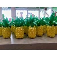 ราคา เหรียญโปรยทานสับปะรด (ตัวเปล่า) (24522582207)