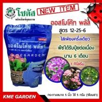 ราคา ปุ๋ยเกร็ด ออสโมโค้ท พลัส สูตร 12-25-6 ขนาด 1 กิโลกรัม โซตัส ใส่เพียงครั้งเดียว พืชได้รับปุ๋ยต่อเนื่องนาน 6 เดือน (8395807886)