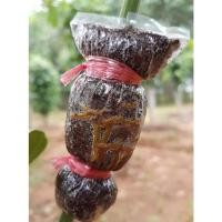 ราคา ตุ้มตอนพริกไทยซีลอน กิ่งตอนพริกไทย พันธุ์พริกไทยซีลอน พริกไทยซีลอน แท้ 100% กิ่ง 20 บาท เท่านั้น ส่งทั่วไทย (15584654361)