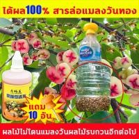 ราคา ผลไม้ไม่โดนแมลงวันผลไม้รบกวนอีกต่อไป ชุดดักแมลงวันทอง สารล่อแมลงวันทอง​ สำหรับ โรงเรือน แปลงเกษตร สวนผลไม้ (19485319962)