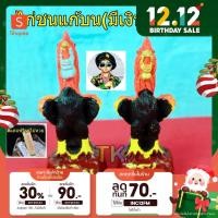 ราคา ไก่แก้บน มีเงิน-มีโชค-นำโชค ไอ้ไข่ เด็กวัดเจดีย์ ตาไข่ รูปปั้นไก่ ไก่ปูนปั้น ไก่ขนาดจิ๋ว (9539825365)