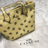 ราคา กระเป๋าผึ้งCoach ขนาด9นิ้ว (5302069770)
