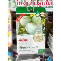 ราคา แฟงหอมลูกผสม แป้นหอมนวล (18894550754)
