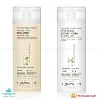 ราคา Giovanni Tea Tree แชมพู ครีมนวดผม ไม่ทำร้ายผมทำสี Eco Chic Tea Tree Triple Treat Invigorating 250 มล. ผมทำสีใช้ได้ (7242611987)