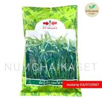 ราคา ผักบุ้ง ยอดไผ่9 1 กิโลกรัม เมล็ดพันธุ์ ตราศรแดง ผักบุ้งจีน (23924777423)