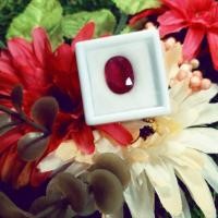 ราคา พลอยทับทิมพม่าเผาเก่า (2677285055)