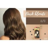 ราคา ครีมเปลี่ยนสีผม 6/0 DARK BLONDE ฟาเกอร์ FARGER HAIR CARE EXPERT PERMANENT COLOR CREAM (2131176569)