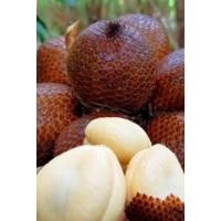 ราคา สละอินโดพันธ์ุ​สายน้ำผึ้ง (23331540285)