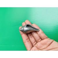 ราคา หอยสังข์เนื้อเหล็กไหลเงินยวง (10047518240)