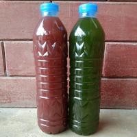 ราคา จุลินทรีย์สังเคราะห์แสง (10853596779)