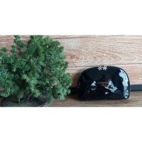 ราคา Chanel กระเป๋าใส่เครื่องสำอางมือสองของแท้100% (15199251680)