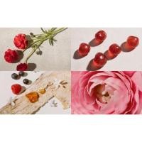 ราคา น้ำหอมBURBERRY HER EDP 100 ML (20715885209)