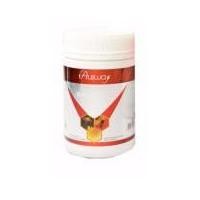 ราคา Ausway Royal Jelly 1600mg 6% นมผึ้ง 100 เม็ด ( 1 กระปุก) (410881487)