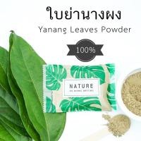 ราคา ใบย่านางผง 100% เกรดคุณภาพสูง (รักษาสิวได้ดี) ใบย่านาง ผงใบย่านาง ย่านาง ใบย่านางพอกหน้า ย่านางรักษาสิว สมุนไพรรักษาสิว (10313421104)