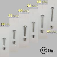 ราคา น๊อตหัวหมวกสเตนเลสแท้ยึดอลูมิเนียมลายไม้ เกรด 304 เกลียว 6 มม.ขายแพ็คละ10 ตัว (3477859690)