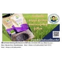 ราคา ข้าวกล้องไรซ์เบอรี่อินทรีย์ (10808109771)