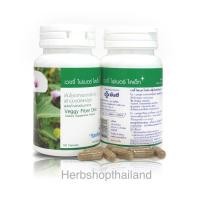 ราคา เวจจี้ ไฟเบอร์ ไดเอ็ท : Veggy Fiber (4965481545)