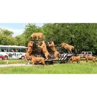 ราคา บัตรซาฟารีเวิลด์ มารีนปาร์ค & ซาฟารีปาร์ค (15250795249)