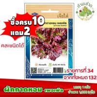 ราคา （เมล็ด）[10แถม2] เจียไต๋ เมล็ดพันธุ์ ผักกาดหอมเพอเพิล Lettuce purple ประมาณ 200 เมล็ด ตราเจียไต๋ เมล็ดพ/งอก (22530989500)
