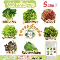 ราคา เมล็ดผักสลัด ชุดผักสลัด 100 เมล็ด ปลูกง่ายไม่กลายพันธุ์ สลัดใบเขียว, บัตเตอร์คลั้น, สลัดกรีนโอ๊ค, (4269255964)