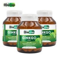 ราคา [แพ็ค 3 ขวด] จิงโกะพลัส จิงโกะ พลัส วิตามินบีรวม ไบโอแคป Ginkgo plus Vitamin B Complex Biocap วิตามินบีคอมเพล็กซ์ (24916738752)