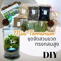 ราคา ชุดจัดสวนขวด สวนขวด Terrarium ขวดแก้วทรงกระบอกกลม (22946284600)