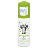 ราคา Babyganics Alcohol Free Foaming Hand Sanitizer 50ml (984621039)