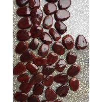 ราคา เมล็ดหลุมพอ#ไม้เนื้อแข็งภาคใต้ 50 เมล็ด 120 บาท (13444725702)