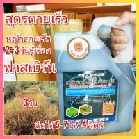ราคา กลูโฟซิเนต แอมโมเนียม 4 ลิตร สูตรตายเร็ว ฟาสเบิร์น ยาฆ่าหญ้า เผาไหม้ ดูดซึม (23626068497)