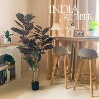 ราคา ต้นยางอินเดีย ยางอินเดียดำ ต้นยางอินเดียปลอม ต้นไม้ประดิษฐ์เหมาะสำหรับตกแต่งบ้านและออฟฟิศ (สินค้าพร้อมส่งจากไทย) (25311613222)