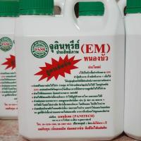 ราคา EM จุลินทรีย์ หนองบัว ขนาด1ลิตร (2674754295)