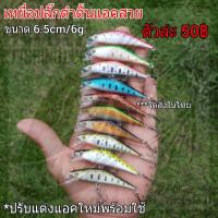 ราคา เหยื่อปลั๊กดำตื้น ขนาด 6.5cm/6g (4579172691)