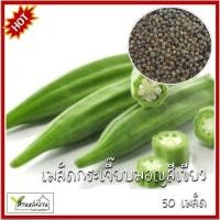 ราคา 50 เมล็ด กระเจี๊ยบมอญ กระเจี๊ยบมอญเขียว เมล็ดกระเจี๊ยบมอญ เมล็ดกระเจี๊ยบมอญเขียว (24113150551)