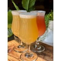 ราคา แก้วเบียร์ Tulip craft beer glass แก้วเบียร์คราฟ แก้วคราฟเบียร์ สำหรับ กาแฟ เหล้า ค็อกเทล แก้วทิวลิป (24072308599)