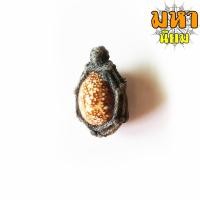 ราคา เบี้ยแก้ถักเชือก ตะกรุดหลัง (เขย่าแล้วมีเสียงตะกรุดข้างใน) หลวงปู่บุญ วัดกลางบางแก้ว จ.นครปฐม (16222476785)