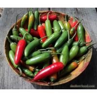 ราคา 40 เมล็ด พริกเซอราโน (5427494191)