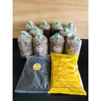 ราคา ก้อนเชื้อเห็ดฟาง ชุด 10 ก้อนพร้อมอาหารเสริม 2 ถุง (21803072221)