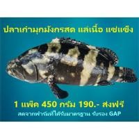 ราคา ปลาเก๋ามุกมังกรแล่เนื้อแช่แข็ง (20-30 กรัม/ชิ้น) ขนาดบรรจ 450 กรัมส่งฟรี (4079335356)