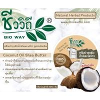 ราคา ชีววิถี ครีมบำรุงผิวสูตรน้ำมันมะพร้าว 200 กรัม (24254656975)