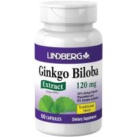 ราคา Ginkgo Biloba Extract 120 mg. (60แคปซูล) (24673449978)