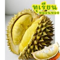 ราคา ทุเรียนหมอนทอง มีลด50 ในไลฟ์ (28250349100)